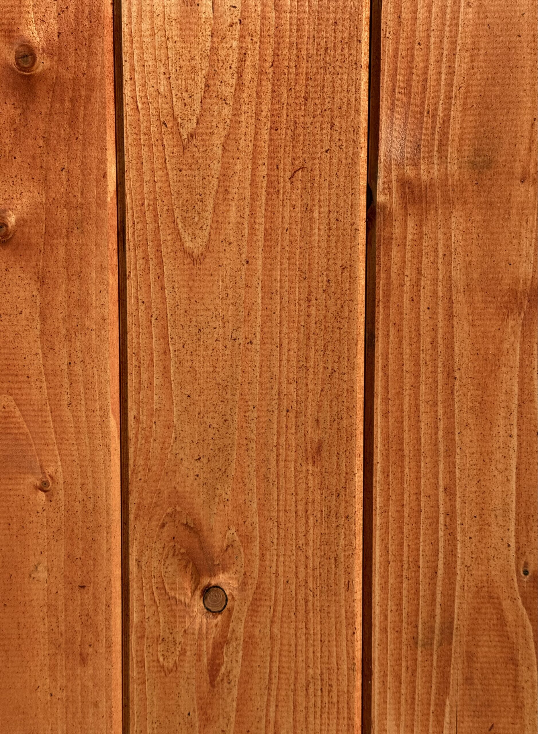 Teak